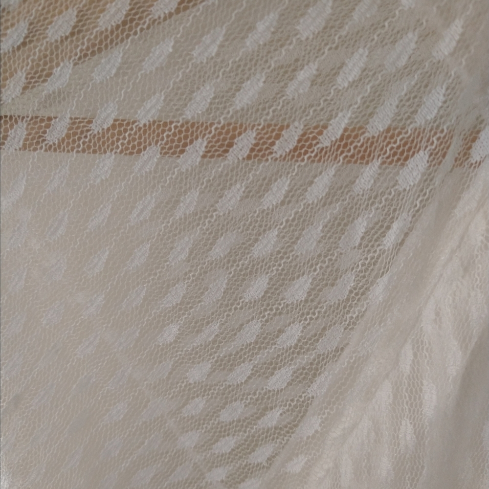 NWT Nina Leonard Dress L Sheer Mock Neck Long Sleeve Dotted Overlay In Ivory - Picture 7 of 10